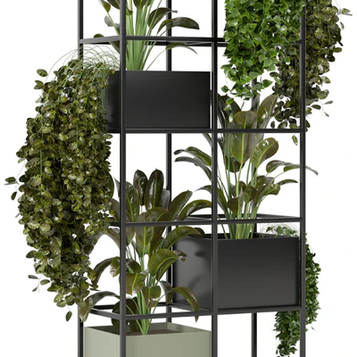 indoor plants in rusty concrete pot on metal shelf - Set 122 — Ver 5