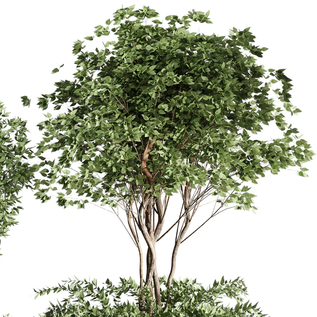 Tree pots and shrubs-bush collection 74 metal vase for outdoor indoor — Descargar