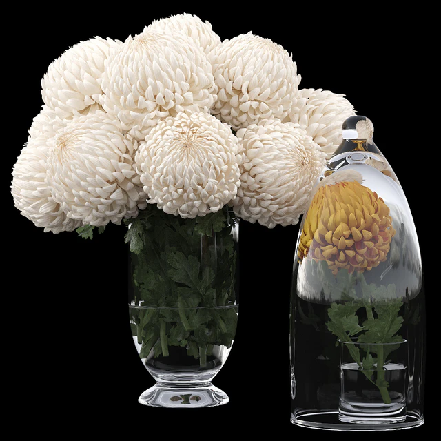 Chrysanthemums 1 — Descargar