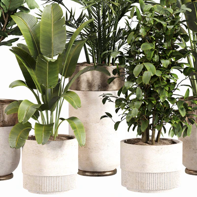 Indoor Plant Set 052 — Ver 5