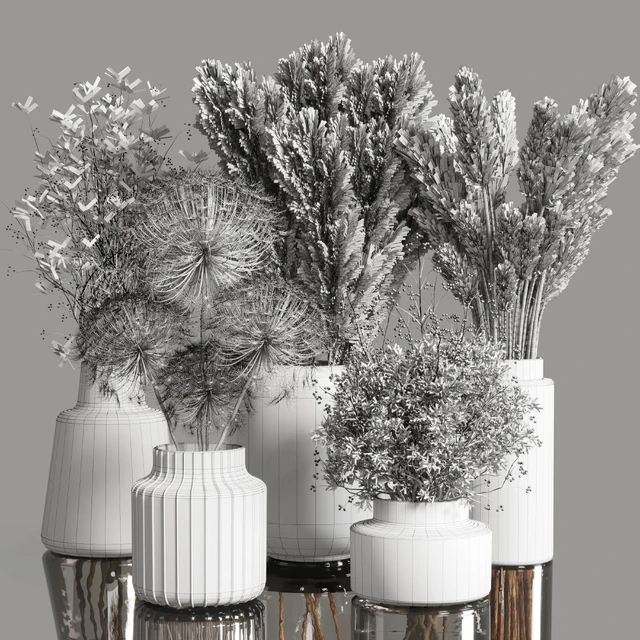 Collection Dry Plants Bouquet Indoor 02 — Descargar