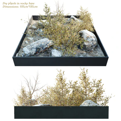 Dry plants in rocky base — скачать