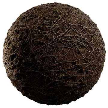 dried scarce grass 001 — Descargar