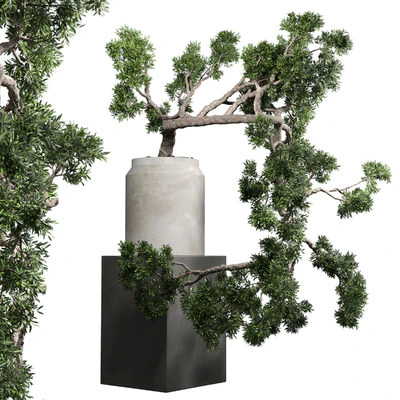 bonsai tree vase old concrete dirt pot — Ver 1