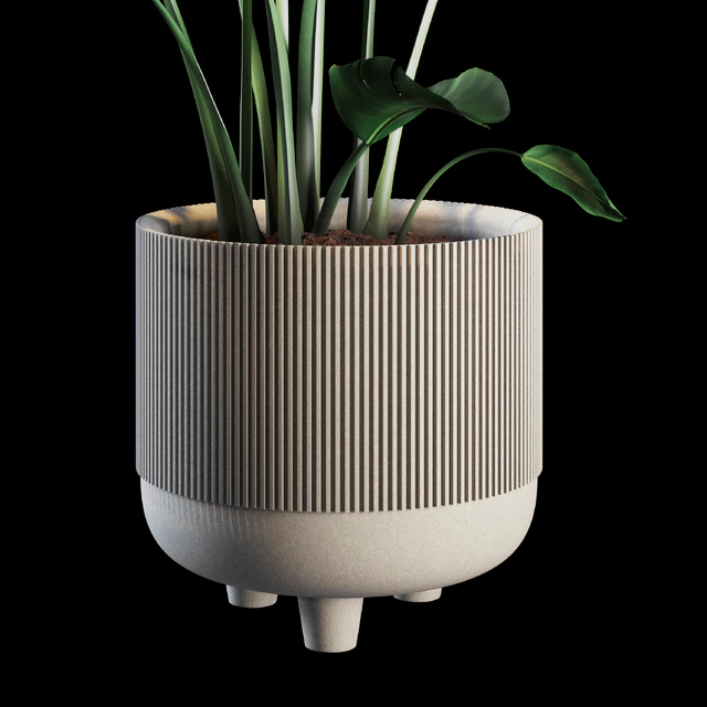 Indoor Plants Set 04 — Descargar