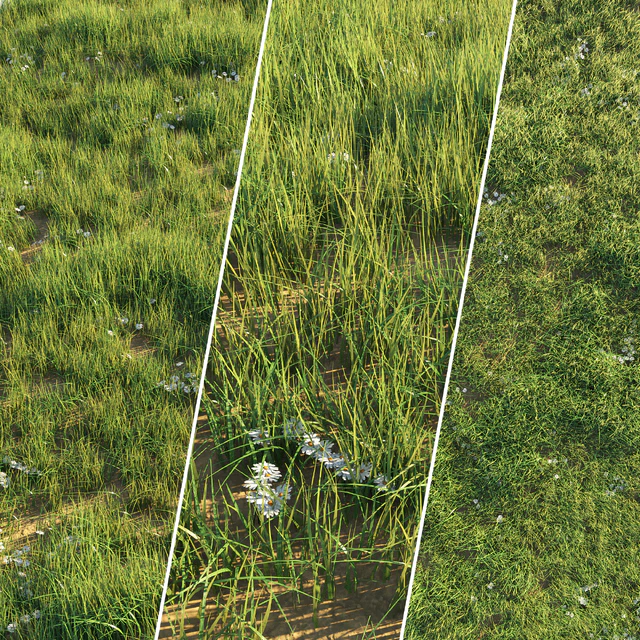 Uncut grass lawn — Descargar