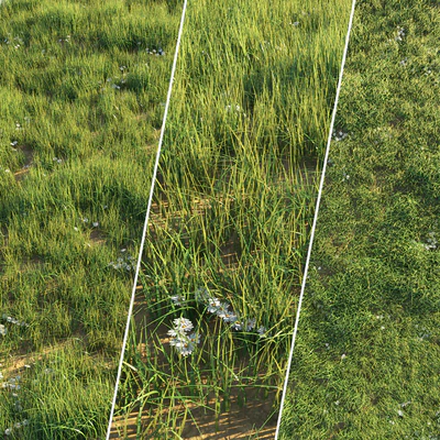Uncut grass lawn — Ver 1