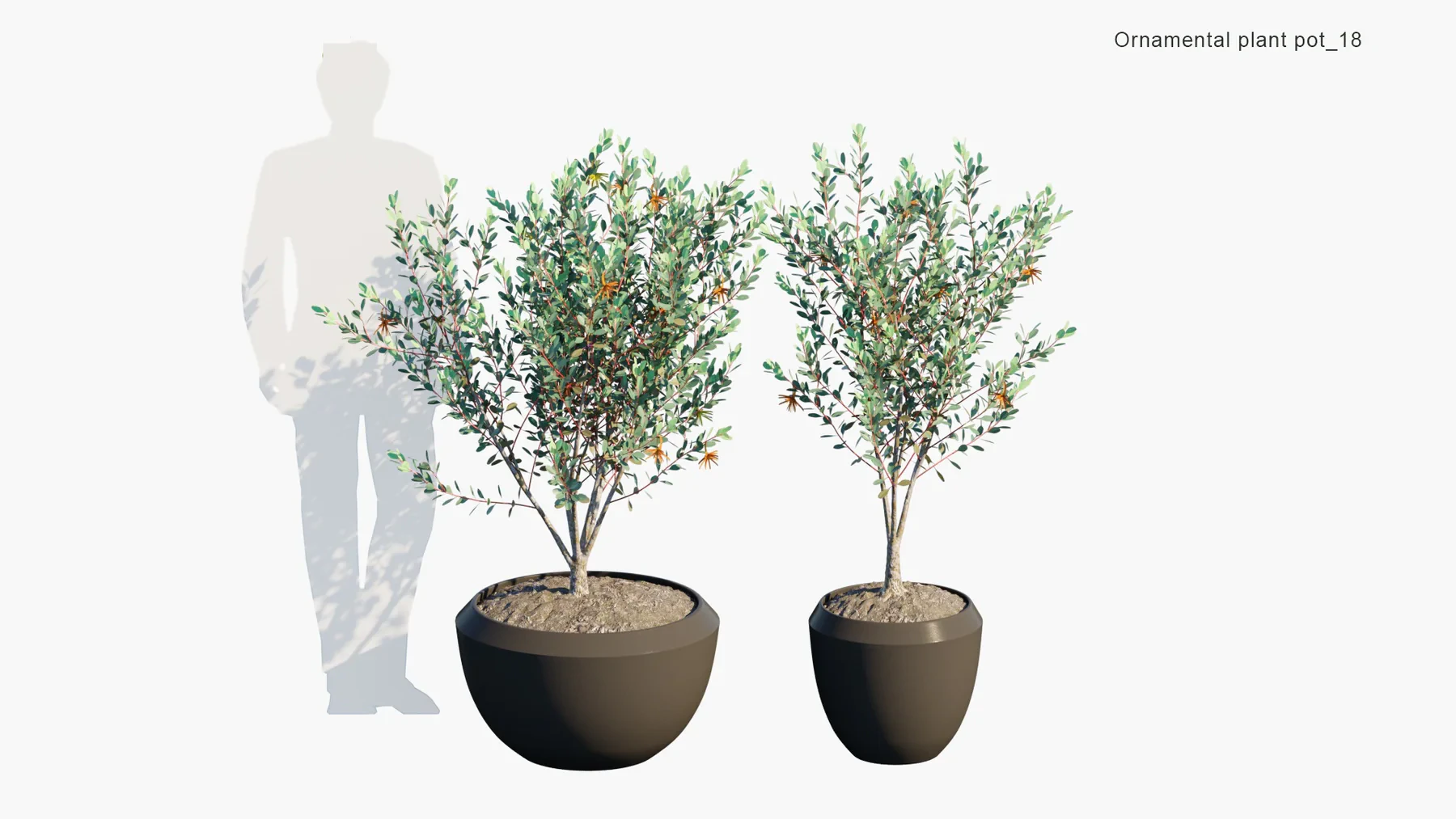 018 — Скачать