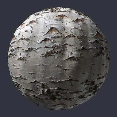 birch bark 006 — Descargar