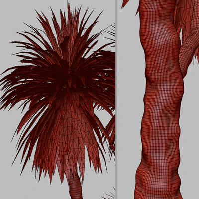 Set of Cordyline australis Trees (Cabbage Tree) (7 Trees) — Ver 4