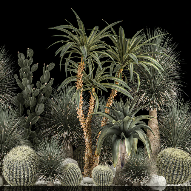 Collection of tropical plants of the desert 1117. cactus, yucca, prickly pear, thickets, bushes, garden, dracaena — Descargar