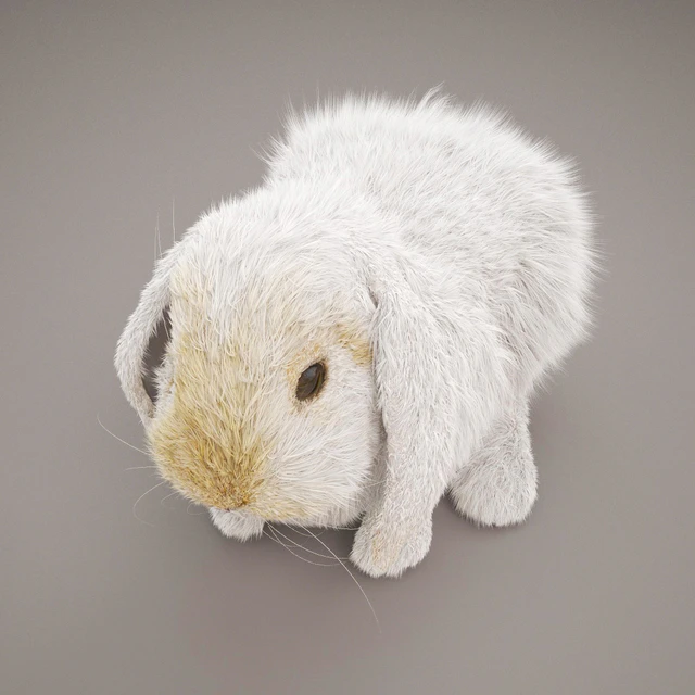 Rabbit — Descargar