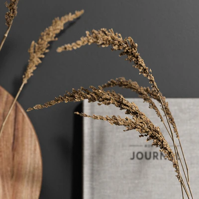 Kitchen Decor 03 — Ver 5