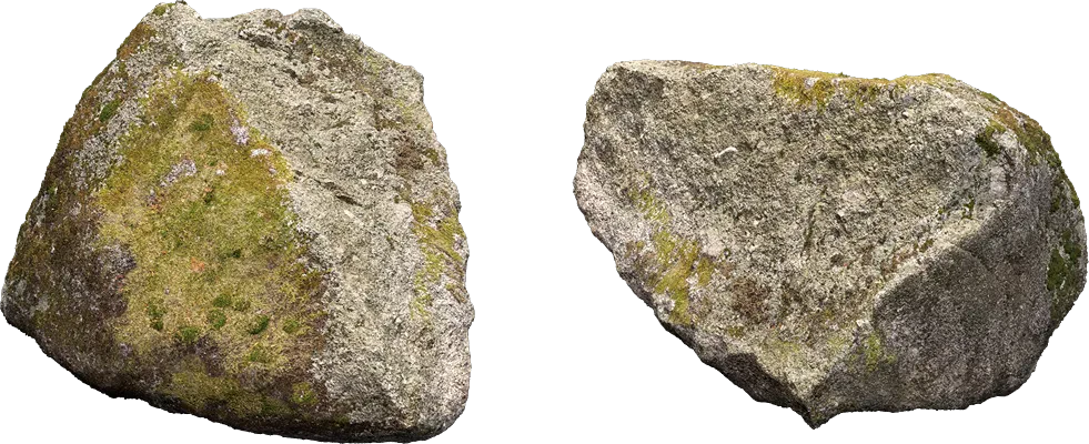 mossy forest rock 008 — Скачать