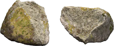 mossy forest rock 008 — Скачать