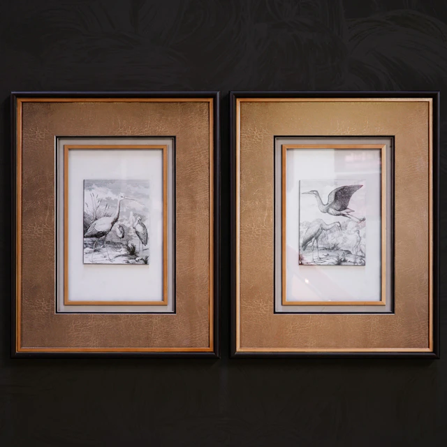 Antique Birds pictures — Descargar