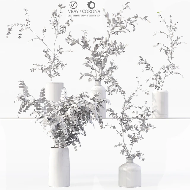 Collection Indoor Plants 015 — Descargar