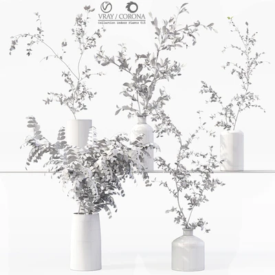 Collection Indoor Plants 015 — Ver 6