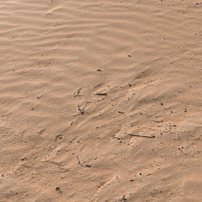 PBR Sand Beach 07 — Вид 1