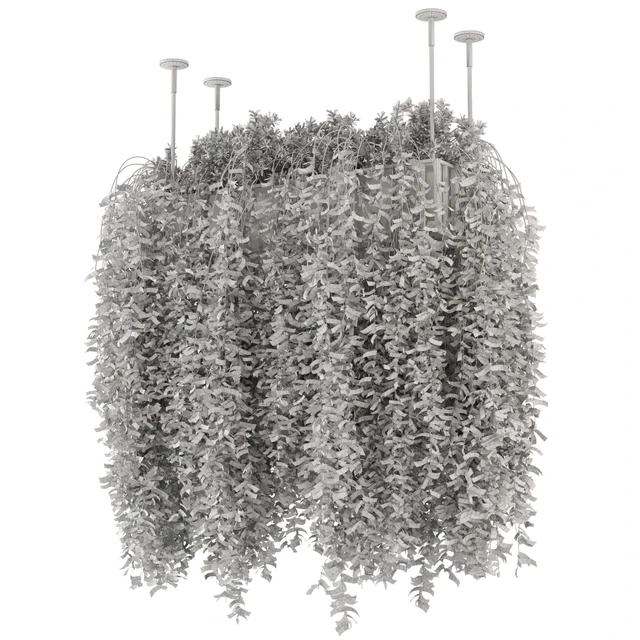 Indoor Hanging Plants in Metal Box - Set 192 — Descargar