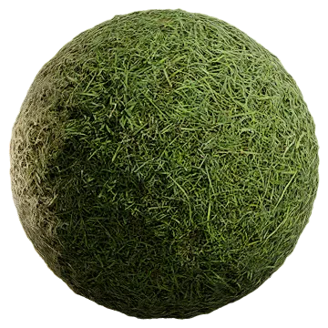uncut grass 022 — Скачать