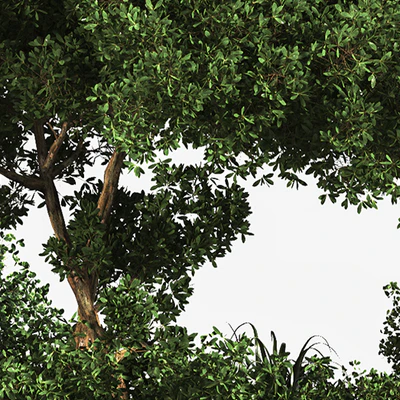 Garden Set Grass Tree — Вид 6