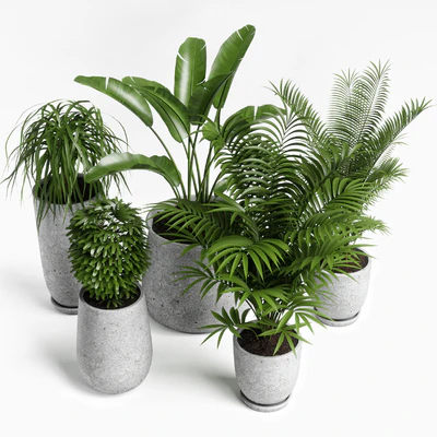 plants set 04 — Ver 4