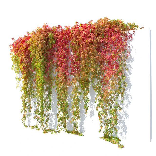 Hanging plant 49 — Download