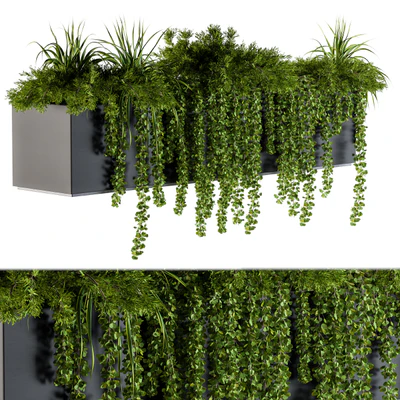 ivy plants in box - Outdoor Set 62 — Ver 4
