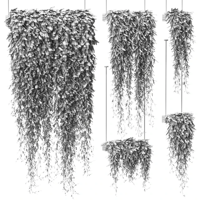 Plants in hanging pots v4. 5 models — Descargar