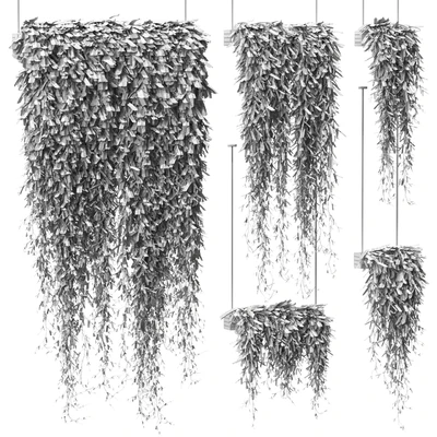 Plants in hanging pots v4. 5 models — Ver 5