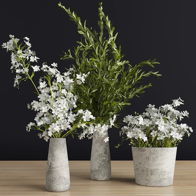 Plants set 3 — Ver 1