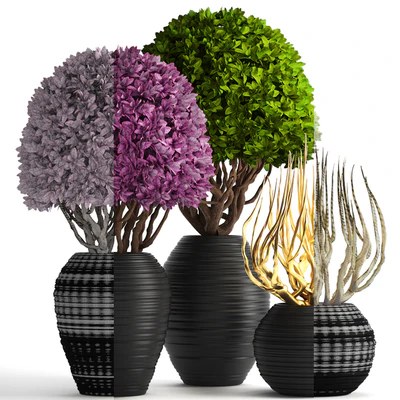 Collection of plants 129. Boxwood, topiary, topiary, decorative vases, decor, golden branches — Ver 2