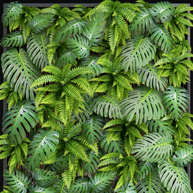 Fytowall 1. Vertical garden, phytowall, phytomodl, landscaping, green picture, bush, wall decor, branches, monstera, fern, eco, eco decor, loft — Descargar