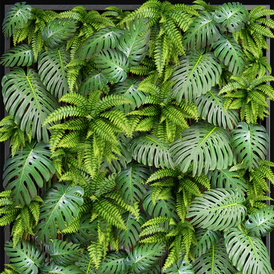 Fytowall 1. Vertical garden, phytowall, phytomodl, landscaping, green picture, bush, wall decor, branches, monstera, fern, eco, eco decor, loft — Ver 3