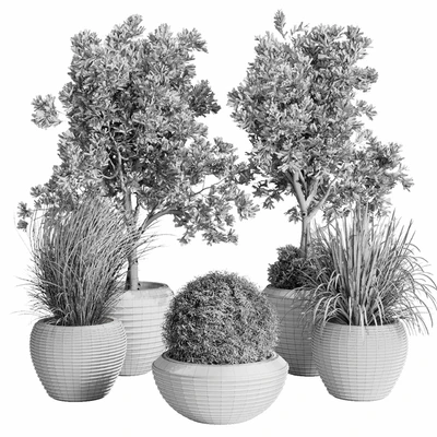 Dry Grass and Trees in a Concrete Pot - Indoor plant autumn set 570 — Вид 7