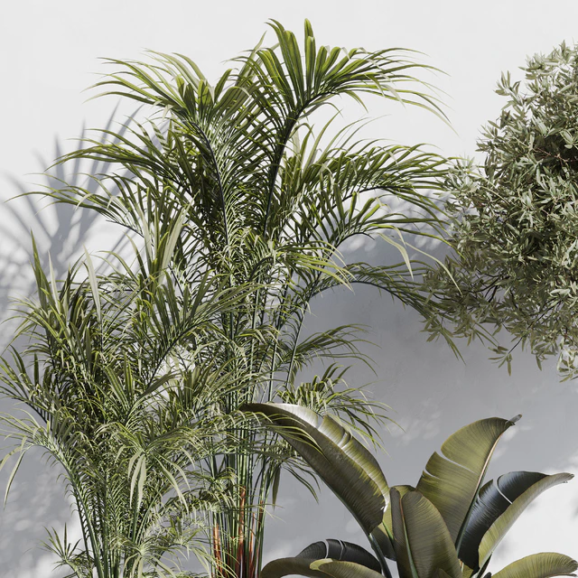 indoor plant set 69 — Descargar