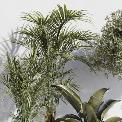 indoor plant set 69 — Ver 4