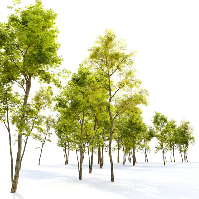 Two locust tree — Скачать