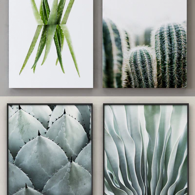 Cactus framed — Вид 3