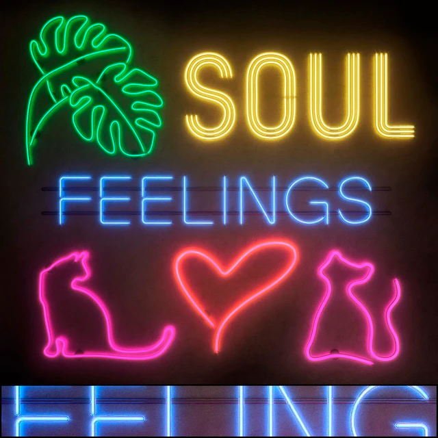 Light modules. Set 24. Neon — Descargar