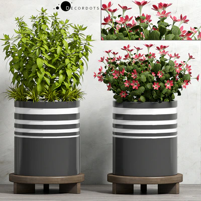 PLANT -52 — Ver 1