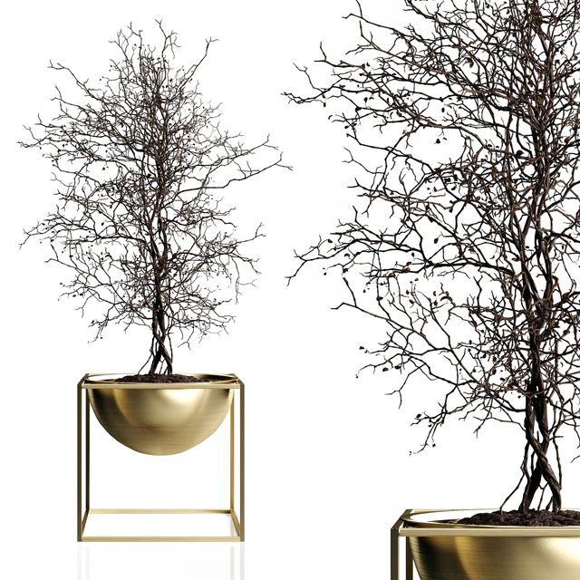 Branching tree — Descargar