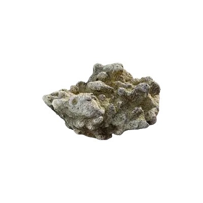 thai beach coral 009 — Скачать