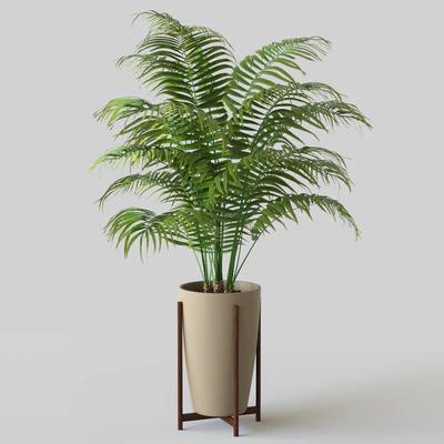 Palm in pot — Ver 1