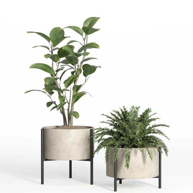 indoor plant set 52-concrete and metal pot — Скачать