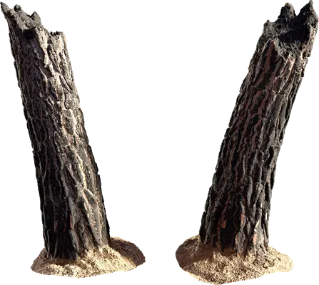 burnt tree trunk 002 — Скачать