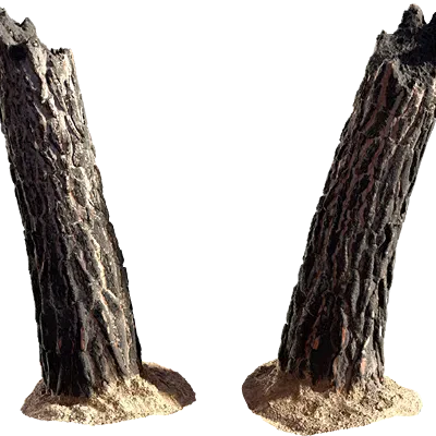 burnt tree trunk 002 — Скачать