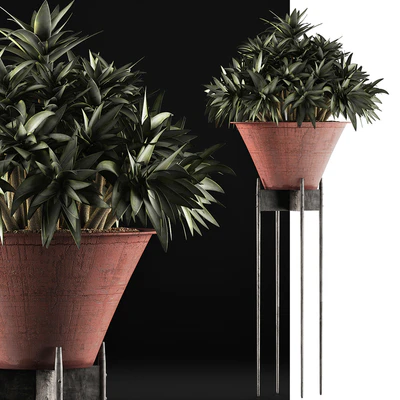 Plants Collection 49 — Ver 5