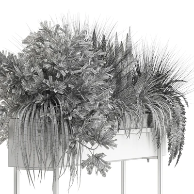 Plants collection 587 — Вид 5